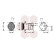 Compresseur, climatisation, Vignette 2