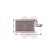 Evaporateur climatisation, Vignette 2