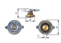 Bouchon de radiateur RC101 Gates