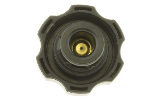 Bouchon de radiateur, Image 5