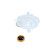 Vase d'expansion, liquide de refroidissement, Vignette 6