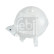 Vase d'expansion, liquide de refroidissement 48390 FEBI, Vignette 2
