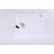 Vase d'expansion, liquide de refroidissement, Vignette 3