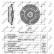 Embrayage, ventilateur de radiateur 49564 NRF, Vignette 5