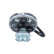 Embrayage, ventilateur de radiateur 49782 NRF, Vignette 3