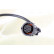 Embrayage, ventilateur de radiateur 86233 Nissens, Vignette 5