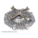 Embrayage, ventilateur de radiateur ADC491807 Blue Print, Vignette 3
