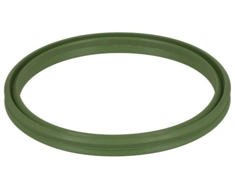 Bague d'étanchéité, flexible d'air de suralimentation
