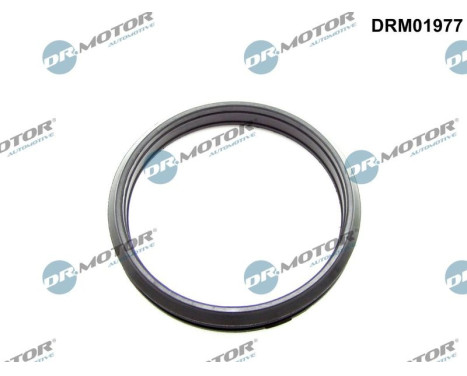 Bague d'étanchéité, flexible d'air de suralimentation