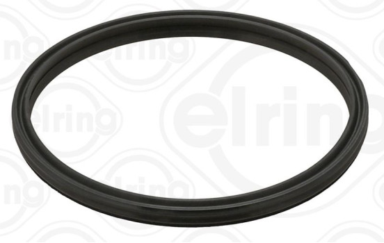 Bague d'étanchéité, flexible d'air de suralimentation