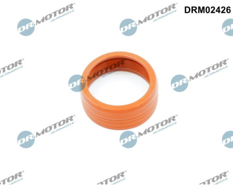Bague d'étanchéité, flexible d'air de suralimentation