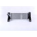 Intercooler, échangeur 96219 Nissens, Vignette 4