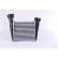 Intercooler, échangeur 96468 Nissens, Vignette 4