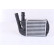 Intercooler, échangeur 96673 Nissens, Vignette 5