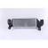 Intercooler, échangeur 96693 Nissens, Vignette 5