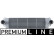 Intercooler, échangeur PREMIUM LINE