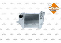 Intercooler, échangeur
