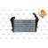 Intercooler, échangeur, Vignette 3