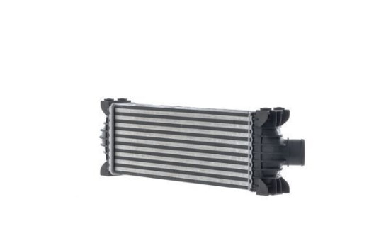Refroidisseur intermédiaire, refroidisseur d'air de suralimentation, Image 6