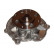 Pompe à eau DW-1011 Kavo parts