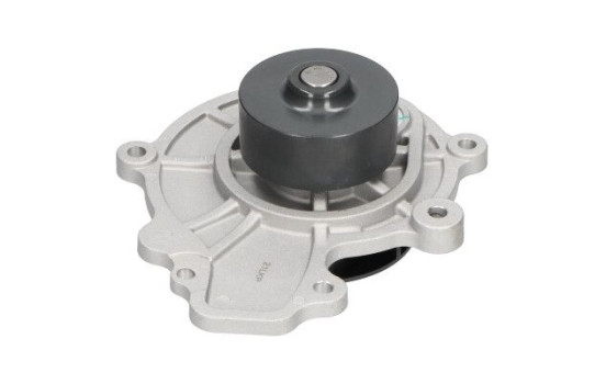 Pompe à eau DW-1016 Kavo parts, Image 4
