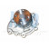 Pompe à eau DW-1721 Kavo parts, Vignette 2