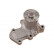 Pompe à eau MW-1463 Kavo parts