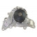 Pompe à eau MW-2443 Kavo parts