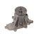 Pompe à eau NW-1284 Kavo parts