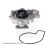 Pompe à eau, refroidissement du moteur ADBP910028 Blue Print