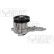 Pompe à eau, refroidissement du moteur PA1553 Graf