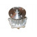 Pompe à eau TW-1127 Kavo parts, Vignette 2