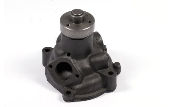 Pompe à eau, Image 2