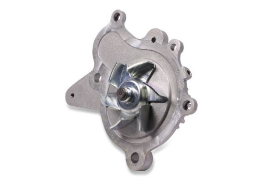 Pompe à eau, Image 2