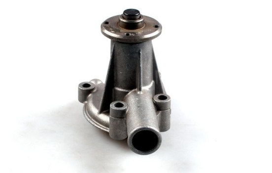 Pompe à eau, Image 3