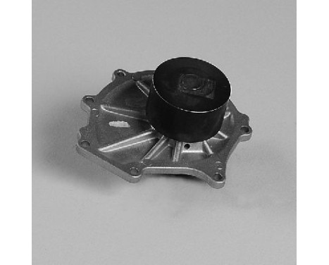 Pompe à eau