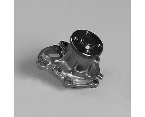 Pompe à eau