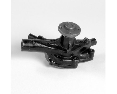 Pompe à eau