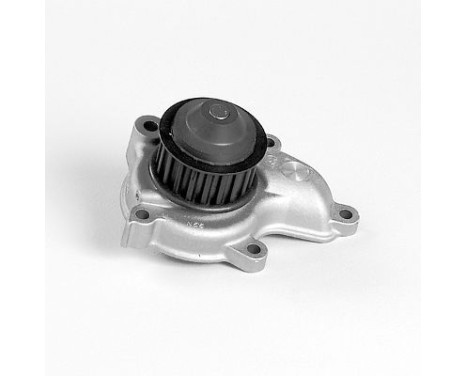 Pompe à eau