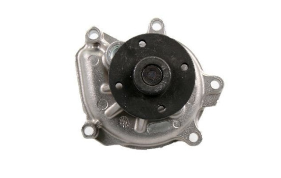 Pompe à eau, Image 2