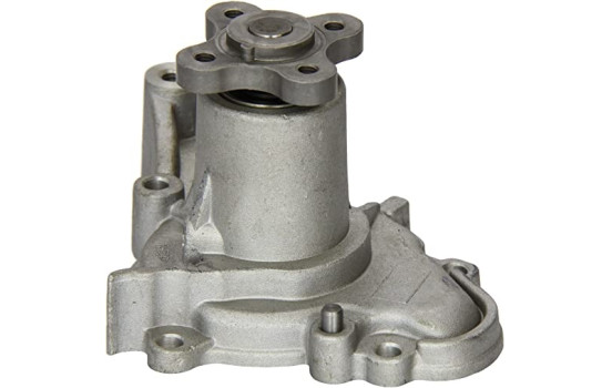 Pompe à eau, Image 2