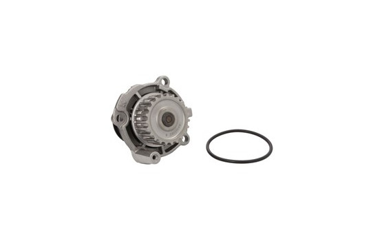Pompe à eau, Image 2
