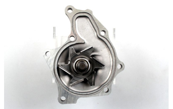 Pompe à eau, Image 2
