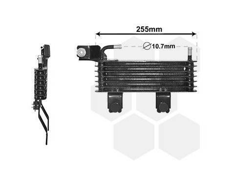 Radiateur d'huile 82003369 International Radiators