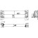 Radiateur d'huile BEHR *** PREMIUM LINE ***, Vignette 2