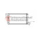 RADIATEUR 1600 DIESEL A 59002019 International Radiators, Vignette 2