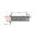 RADIATEUR 30002322 International Radiators, Vignette 2