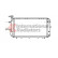 RADIATEUR 51002006 International Radiators, Vignette 2