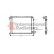 RADIATEUR GAZOLINE -88 2.0 AT avec AIRCO 73002015 International Radiators, Vignette 2