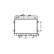 Radiateur, refroidissement du moteur 06002032 International Radiators
